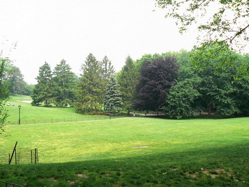 Central Park et autour: Cedar Hill